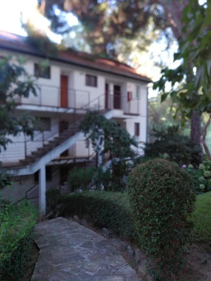 El Mirador De Bacha Apartment San Martín de Valdeiglesias Екстериор снимка
