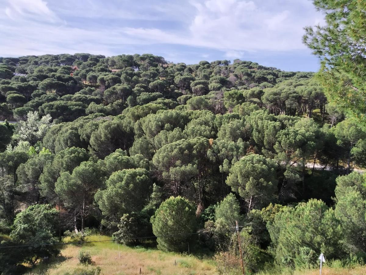 El Mirador De Bacha Apartment San Martín de Valdeiglesias Екстериор снимка
