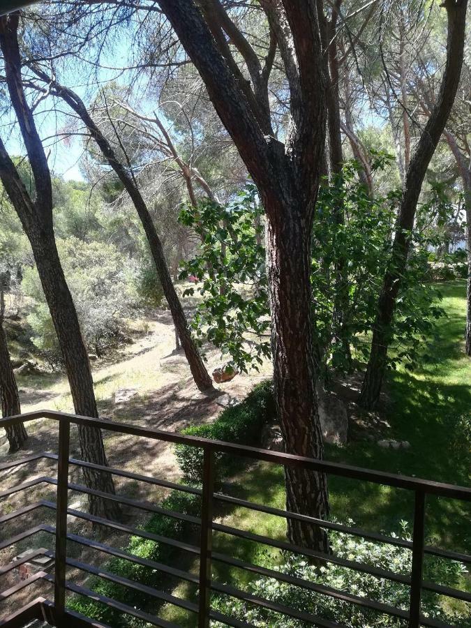 El Mirador De Bacha Apartment San Martín de Valdeiglesias Екстериор снимка